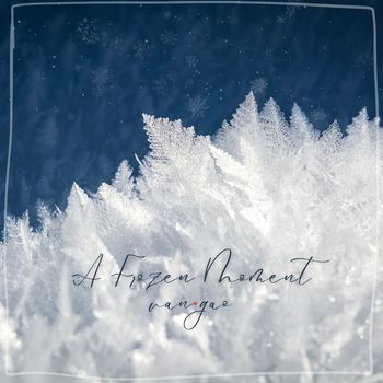 Van.Gao - A Frozen Moment