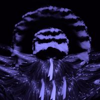 Kate Young - Dandelion (The Reverse Engineer Remix)