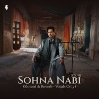 Ali Zafar - Sohna Nabi (PBUH) (Slowed & Reverb - Vocals Only)