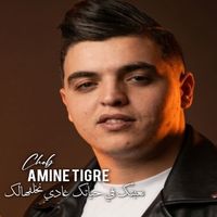 Amine Tigre - نغبنك في حياتك غادي نخلفهالك