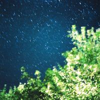 Melle - A Fool (feat. Ellysse Mason)