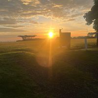 zia - YA! (Explicit)