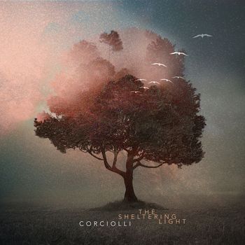 Corciolli - The Sheltering Light