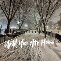 L. Reed - Until You Are Home