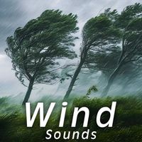 Sound Ideas - Wind Sounds