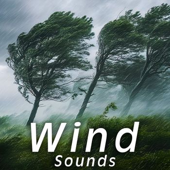 Sound Ideas - Wind Sounds