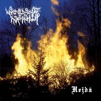 Woods of Infinity - Hejdå