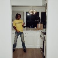 Protect - Undercover groupie (Explicit)