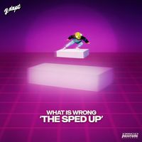 Y-DAPT - What Is Wrong (The Sped Up)