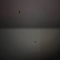 marinelli - Pain Like
