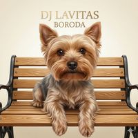 dj lavitas - Boroda