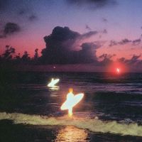 PARTY WAVE, Forrest Frank - SOS