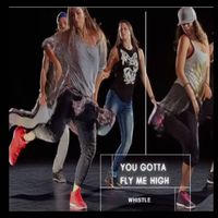 Whistle - You Gotta Fly Me High