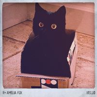 R Plus - Hello (feat. Amelia Fox)
