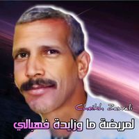 Cheikh Zawali - لمريضة ما وزايدة في هبالي
