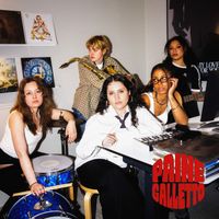Paine Galletto - 8-16