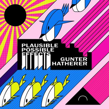Gunter Hatherer - Plausible Possible Effects