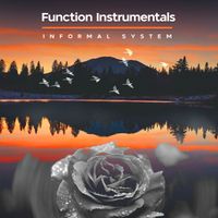 Informal System - Function Instrumentals