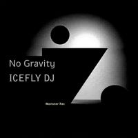 IceFly Dj - No Gravity