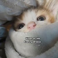 Chris Leo - Kitten of the Evening Breeze