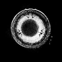 Void - Glass Heart Hypnotic (Explicit)