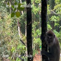 Jeremy Williams Healing - I hear you meditation