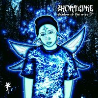 shortcvke - Shadow of the Wisp