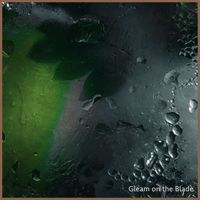 Davide Perico - Gleam on the Blade
