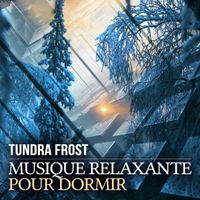 Tundra Frost - Musique Relaxante Pour Dormir