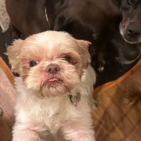 Nemy - OUTSIDE OUTSIDE OUTSIDE (Explicit)