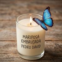 Pedro David - Mariposa Embrujada