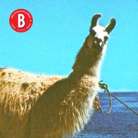 Benjamin B. - Weary
