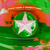 Tulip Tiger,Garrett Noel - Synth Xmas II
