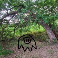 Isaac - Verdaderamente ficticio