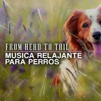 From Head to Tail - Musica Relajante Para Perros