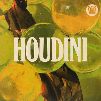 Marco Benevento - Houdini