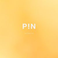 ARMOR - PIN PROJECT X ARMOR