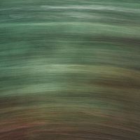 The Weather Machine - Blush