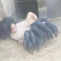 Gomi - i kud uber h3r 2bnb idc wht it k0st (Explicit)