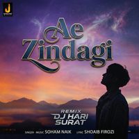 Soham Naik - Ae Zindagi (Remix)