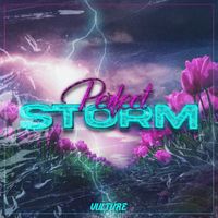 VULTURE - PERFECT STORM