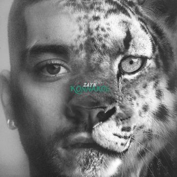 ZAYN - Sideways
