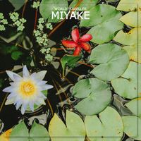 Worldtraveller - Miyake