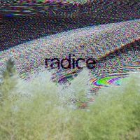 BLX - Radice (Explicit)