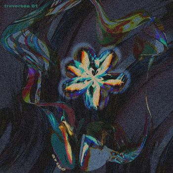 Various Artists - traversée 01