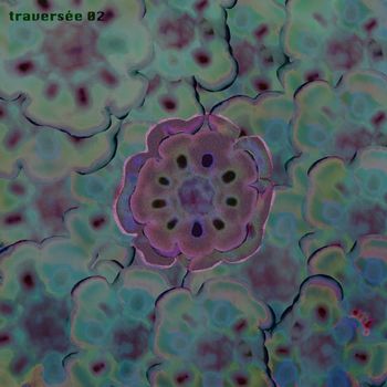 Various Artists - traversée 02