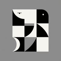 The music - Kaya damkar