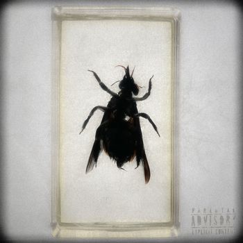 Glenn - Lagrimas (Explicit)