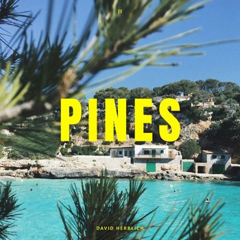 David Herrlich - Pines (Extended)