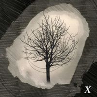 System Breakdown - Rdcr X (X-Tended Version)